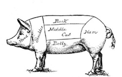 Diagram of meat sections of a hog.