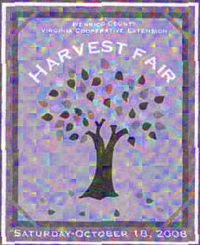 Come attnend the 2nd annual Henrico Harvest Fair, Saturday, September 19, 9-4 at Armour House and Gardens at Meadowview.