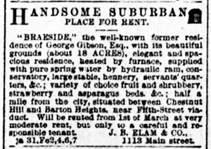 Braieside ad from Richmond Times Dispatch January 31 1892.