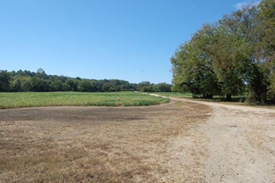 Wilton Farm landscape from Mill Road by farm entrance.
