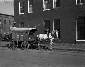 Richmond Ice Company wagon pulled by Nellie.