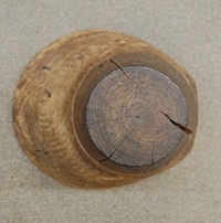 Bonnet form.