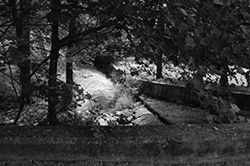 Creek at Michaels Road.