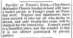 Daily Dispatch, Jul 28 1877.