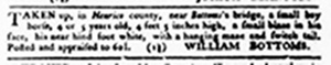 Virginia Gazette article July 10 1779.