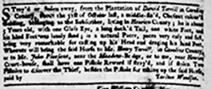 Virginia Gazette article December 5 1745.