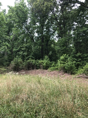 Scenic view of Fussell's Mill. Scenic view of Fussell's Mill.